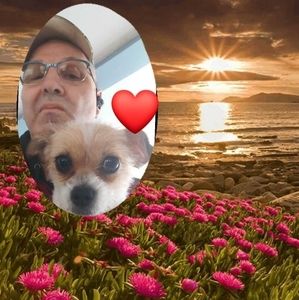 Meet your Posher, Marc